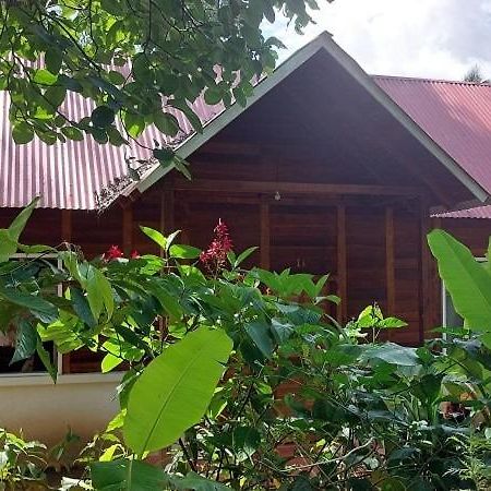 Cabanas Yax-Ha Arroyo Agua Azul 외부 사진